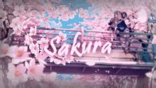 sakura Search